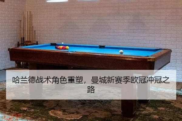 ha-lan-de-zhan-shu-jue-se-zhong-su-man-cheng-xin-sai-ji-ou-guan-chong-guan-zhi-lu-3-419.jpg